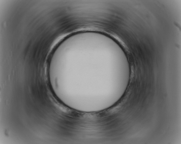 X0000097821078200803140801
