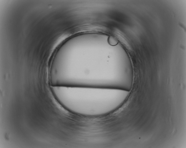 X0000097821079200803140801