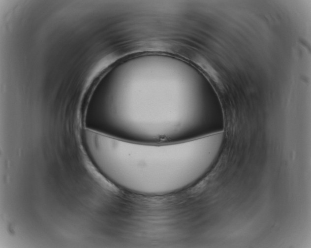 X0000097821080200803140801