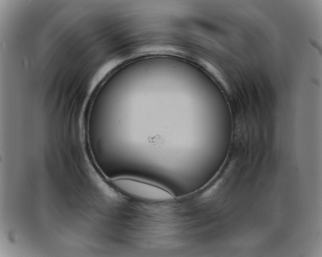 X0000097821082200803140801