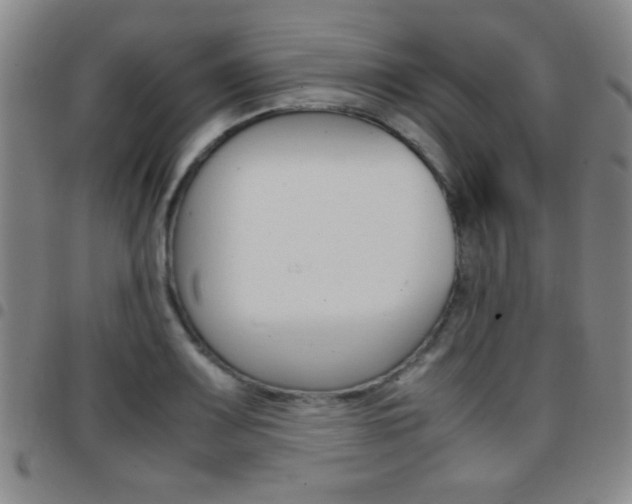 X0000097821083200803140801