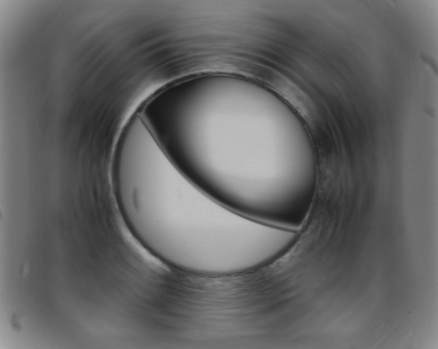 X0000097821084200803140801