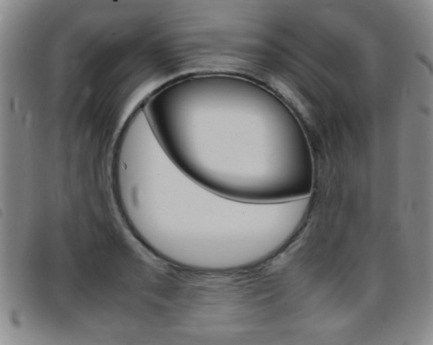 X0000097821085200803140801