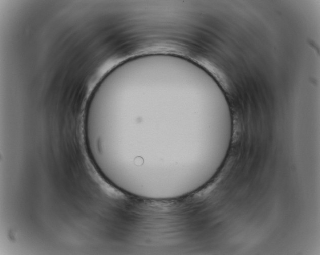 X0000097821086200803140801