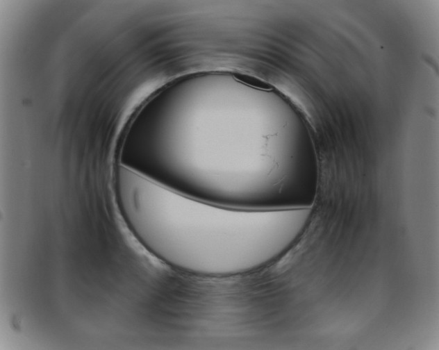 X0000097821088200803140801