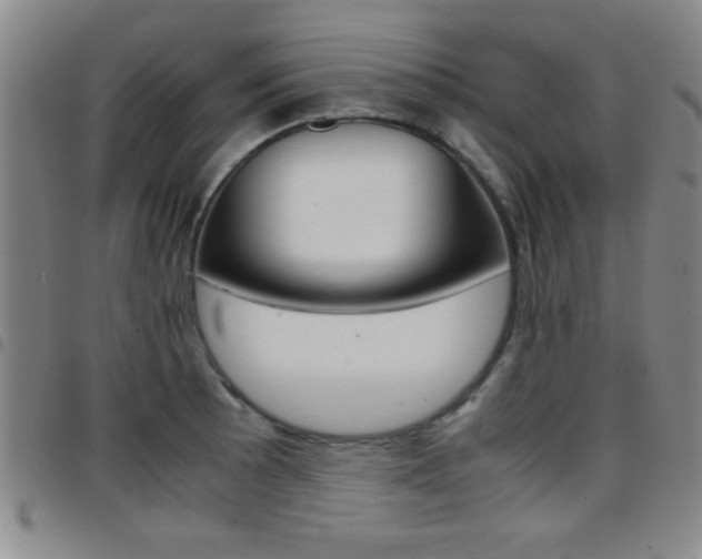 X0000097821089200803140801