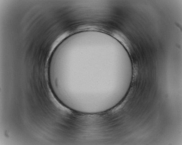 X0000097821090200803140801