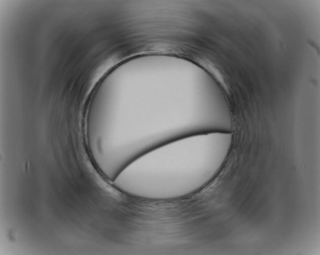 X0000097821091200803140800