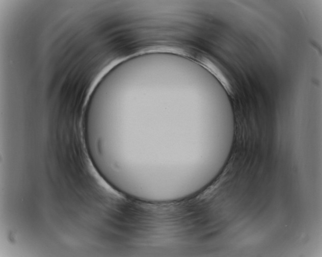 X0000097821092200803140800