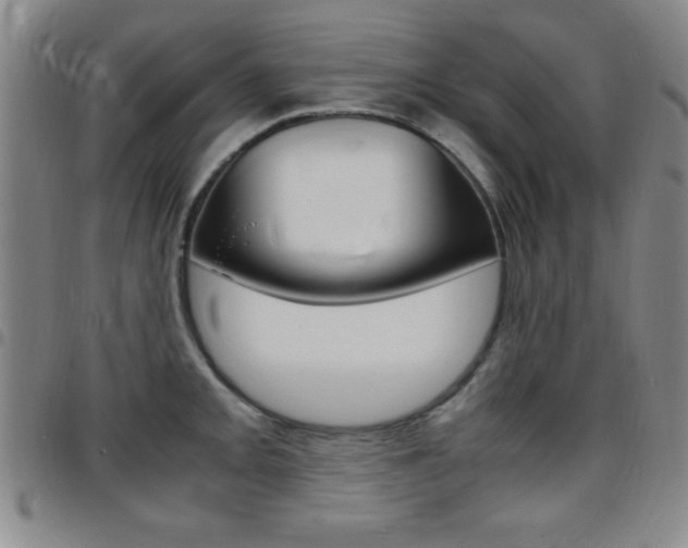 X0000097821093200803140800