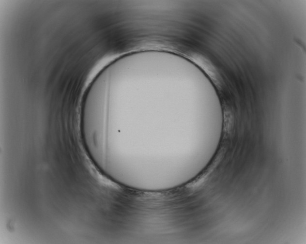 X0000097821094200803140800