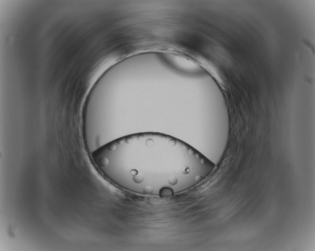 X0000097821095200803140800