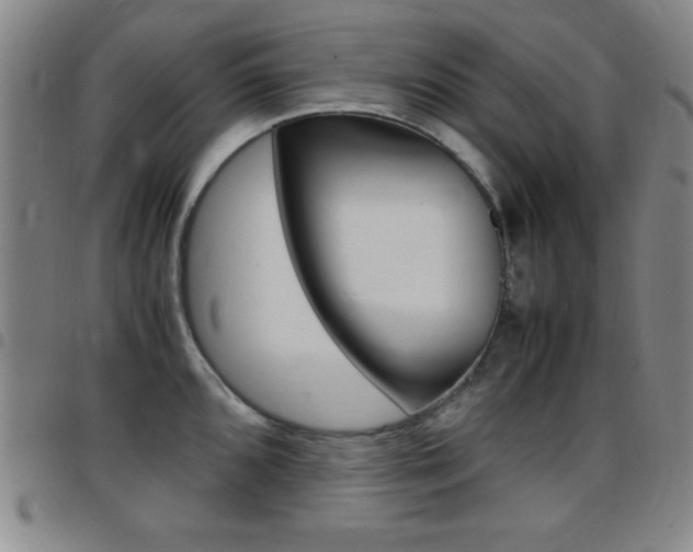 X0000097821096200803140800