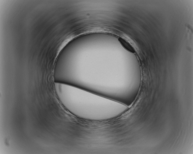X0000097821097200803140800