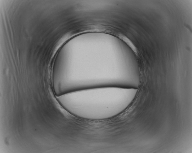 X0000097821099200803140800