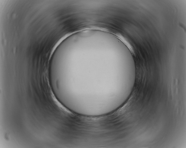 X0000097821100200803140800