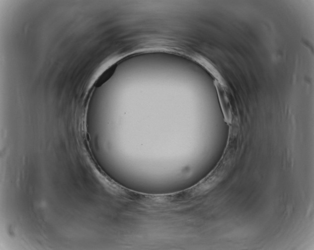 X0000097821101200803140800