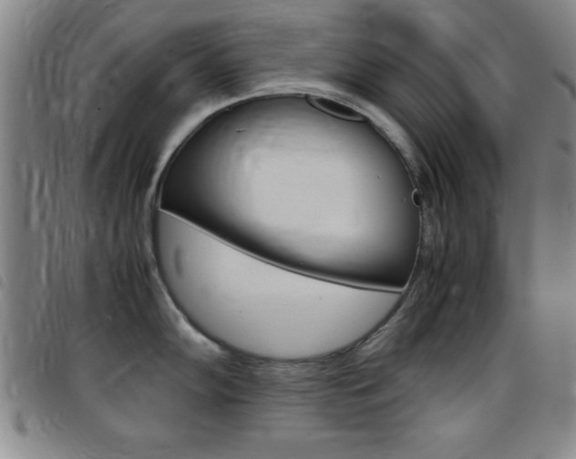 X0000097821102200803140800