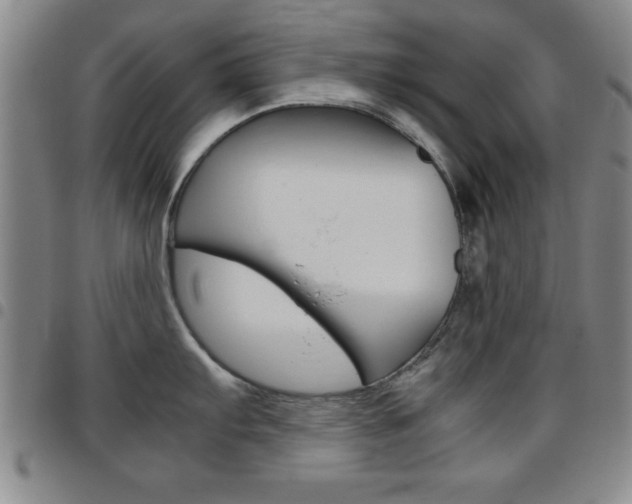 X0000097821103200803140800