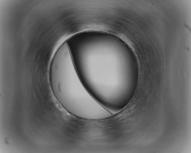 X0000097821104200803140800
