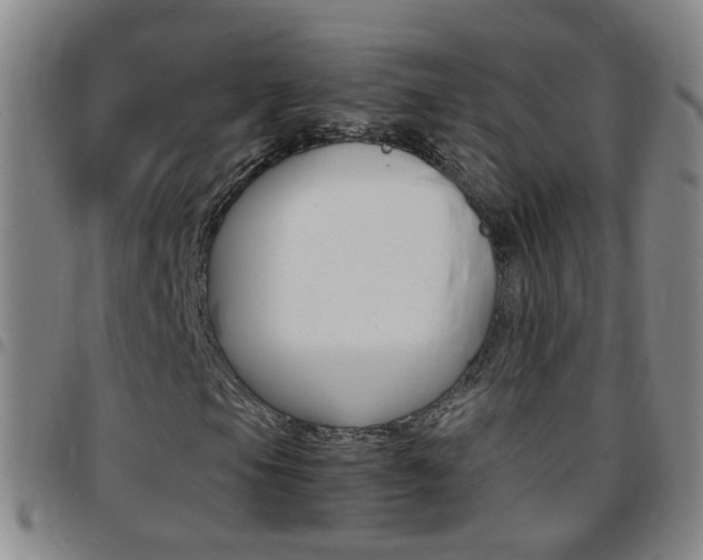 X0000097821105200803140800