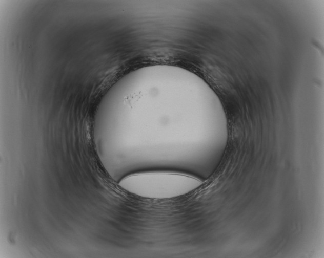 X0000097821106200803140800