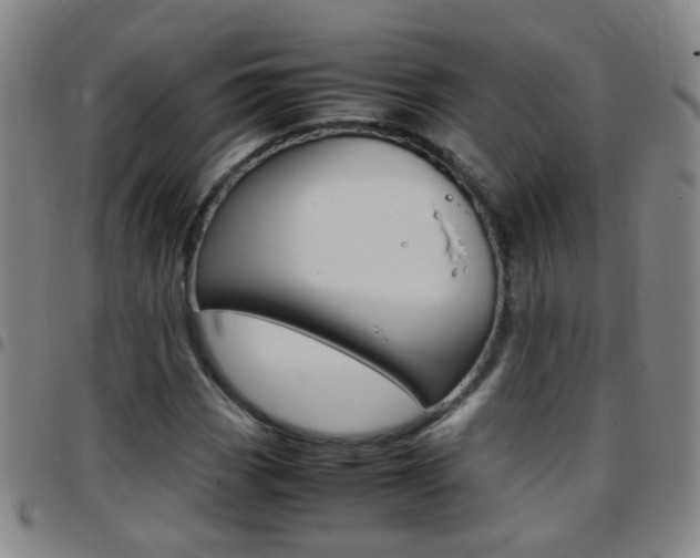 X0000097821113200803140800