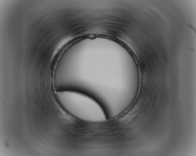 X0000097821115200803140800