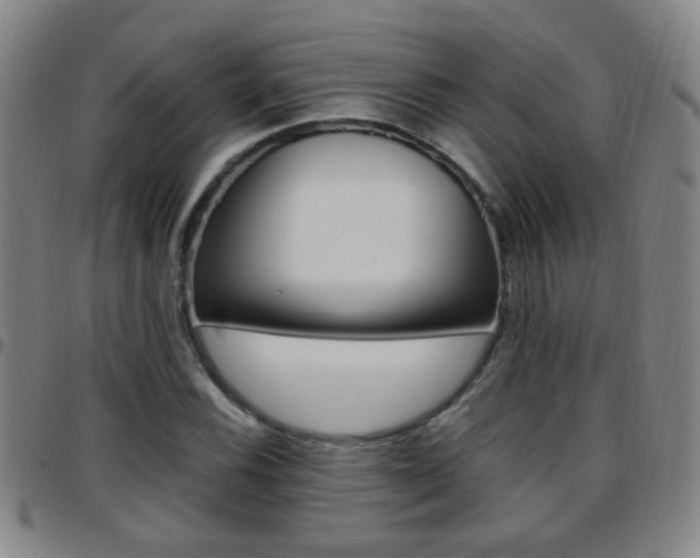 X0000097821116200803140800