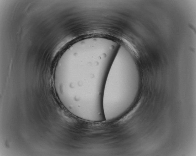 X0000097821117200803140800