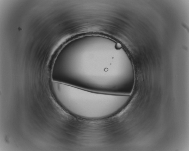 X0000097821118200803140800