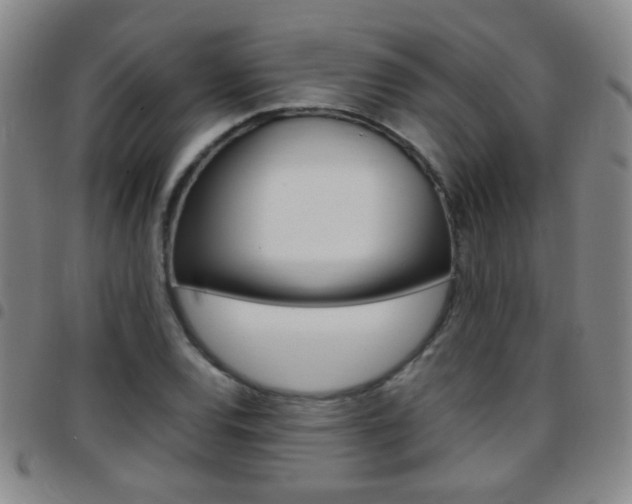 X0000097821120200803140800