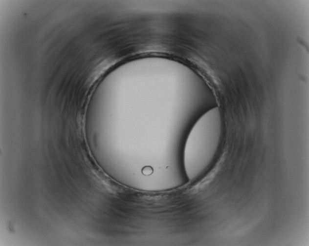 X0000097821121200803140800
