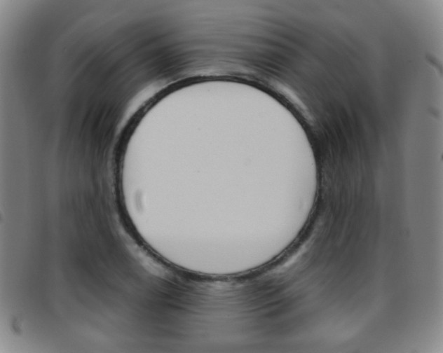 X0000097821122200803140800