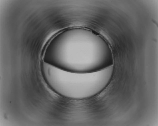 X0000097821124200803140800