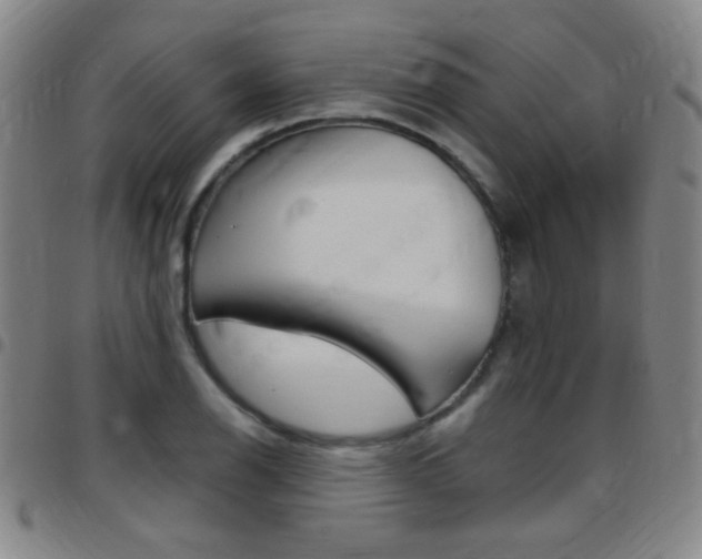 X0000097821126200803140800