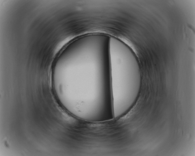 X0000097821127200803140800