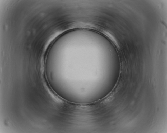 X0000097821128200803140800