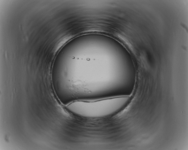 X0000097821129200803140800