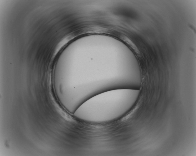 X0000097821130200803140800