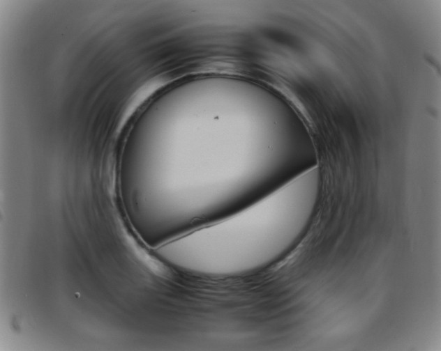 X0000097821131200803140800
