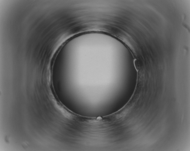 X0000097821132200803140800