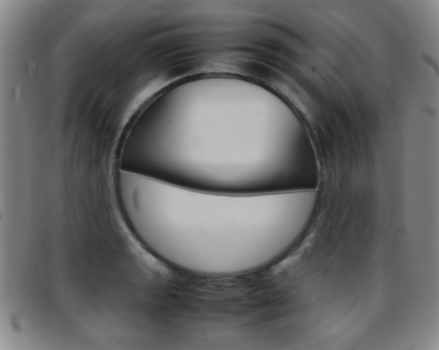 X0000097821133200803140800