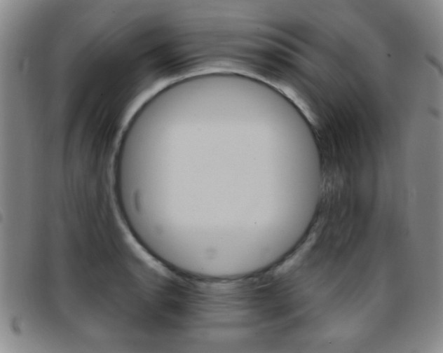 X0000097821134200803140800