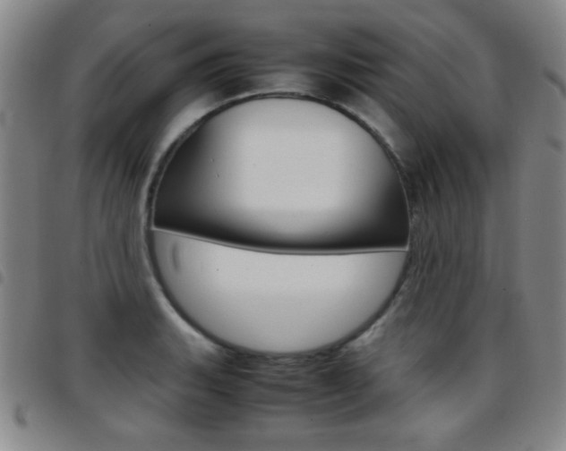 X0000097821135200803140800