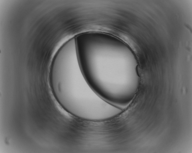 X0000097821136200803140800
