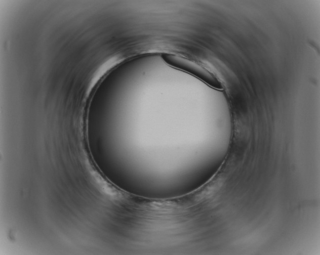 X0000097821138200803140800