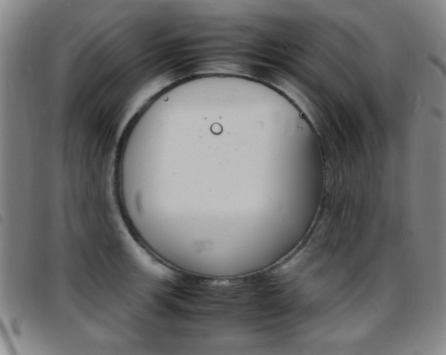 X0000097821139200803140800