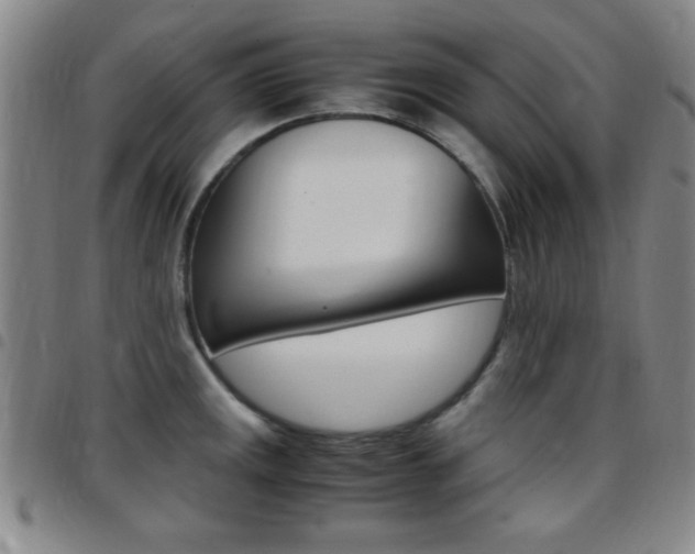X0000097821141200803140800