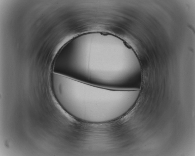 X0000097821142200803140800
